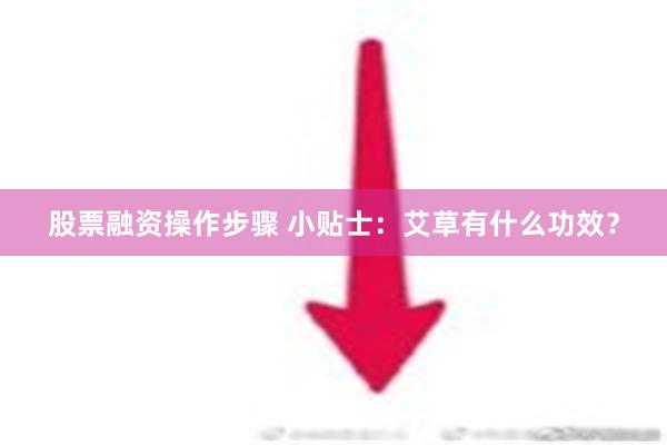 股票融资操作步骤 小贴士：艾草有什么功效？