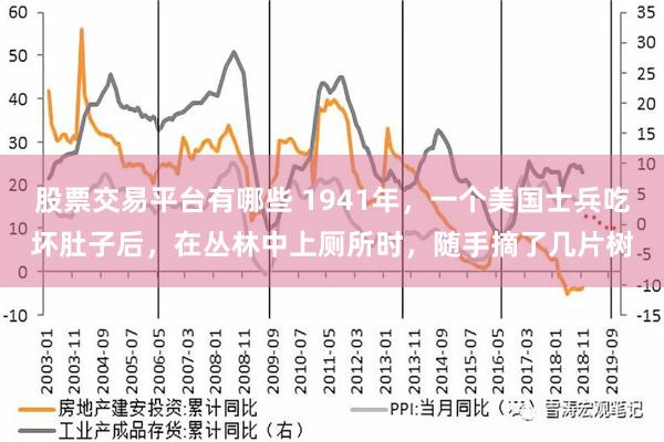 股票交易平台有哪些 1941年，一个美国士兵吃坏肚子后，在丛林中上厕所时，随手摘了几片树