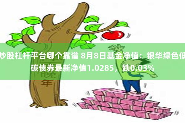 炒股杠杆平台哪个靠谱 8月8日基金净值：银华绿色低碳债券最新净值1.0285，跌0.03%