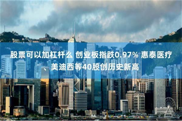 股票可以加杠杆么 创业板指跌0.97% 惠泰医疗、美迪西等40股创历史新高