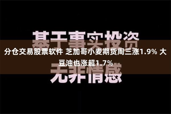 分仓交易股票软件 芝加哥小麦期货周三涨1.9% 大豆油也涨超1.7%