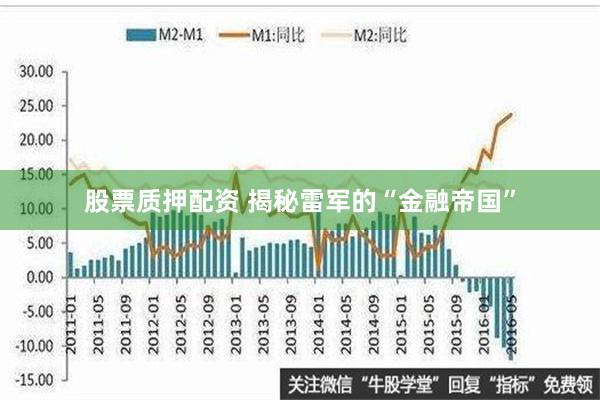 股票质押配资 揭秘雷军的“金融帝国”