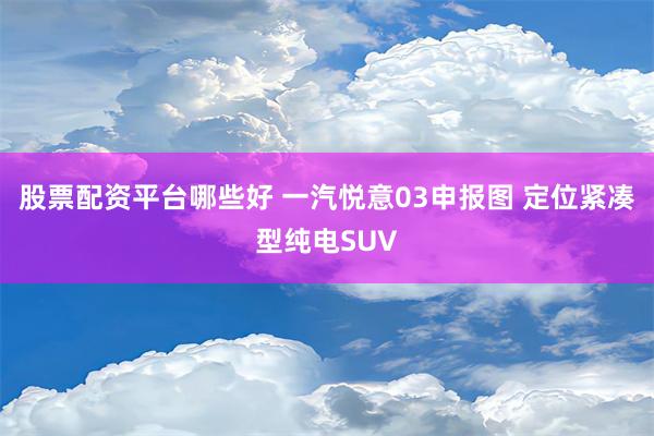 股票配资平台哪些好 一汽悦意03申报图 定位紧凑型纯电SUV