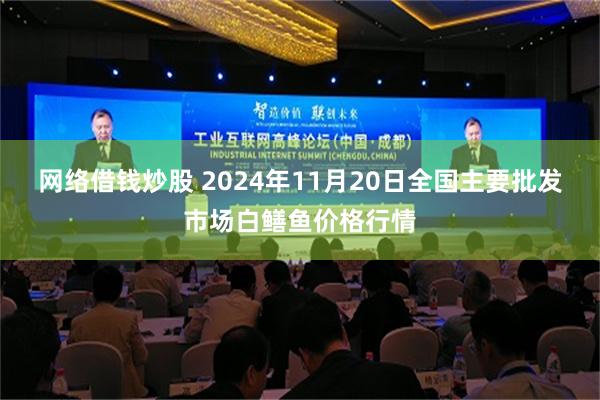 网络借钱炒股 2024年11月20日全国主要批发市场白鳝鱼价格行情