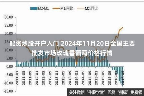 配资炒股开户入门 2024年11月20日全国主要批发市场玫瑰香葡萄价格行情