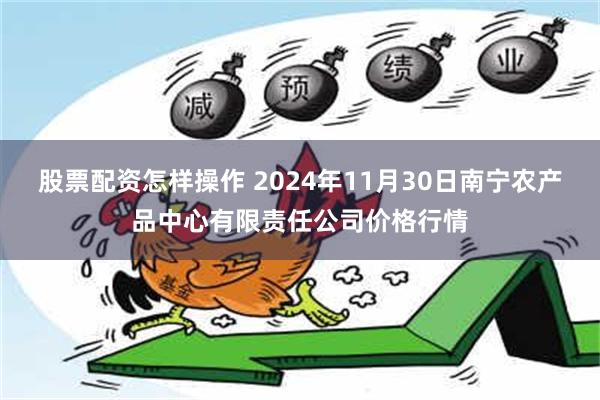 股票配资怎样操作 2024年11月30日南宁农产品中心有限责任公司价格行情