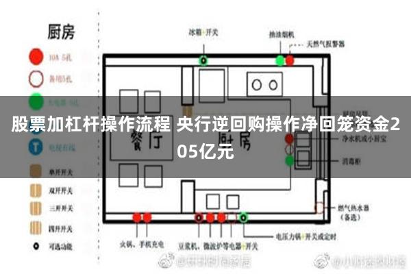 股票加杠杆操作流程 央行逆回购操作净回笼资金205亿元