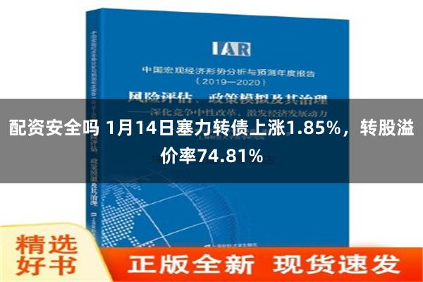 配资安全吗 1月14日塞力转债上涨1.85%，转股溢价率74.81%